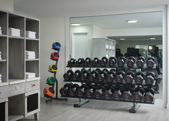 Top Hotels in Santa Barbara for an Unforgettable Stay